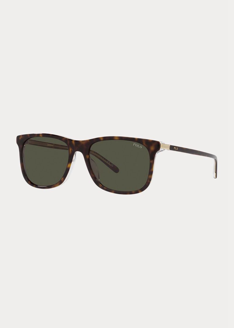 Gafas Polo Ralph Lauren Hombre Engine-Turned Chile Marrones BKMOD-6215